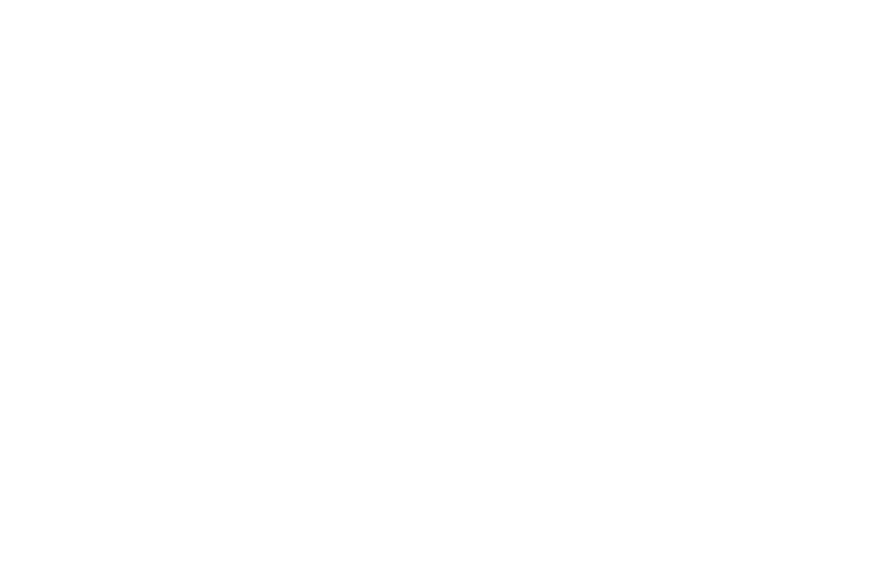 dsa-altvatter